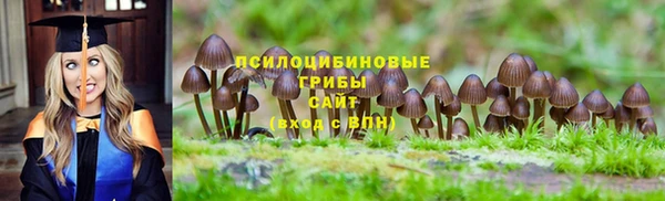 мдпв Кинешма