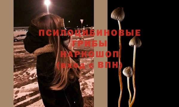 мдпв Киренск