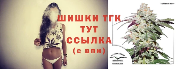 мдпв Киренск