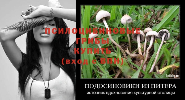 мдпв Киренск