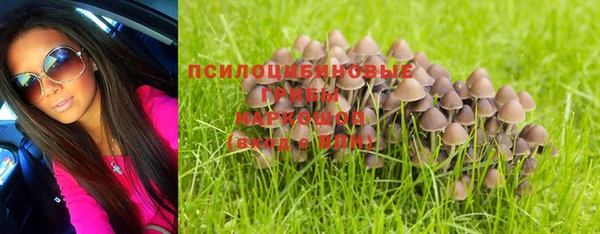 мдпв Кинешма
